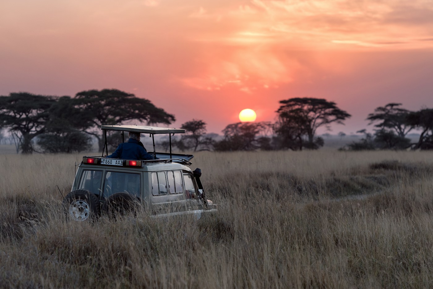 Velvet & Veld African Safari Game Drive Expedition